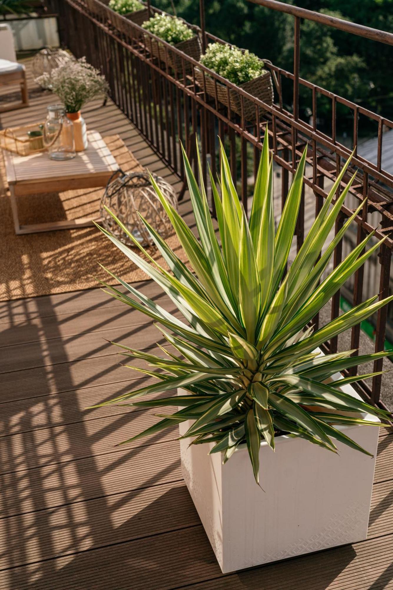 Apartamento Penthouse Panorama - Loftaffair Cracovia Exterior foto
